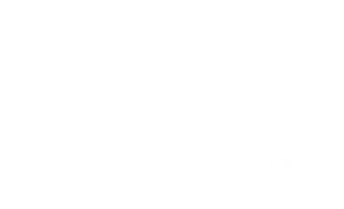 SPB International